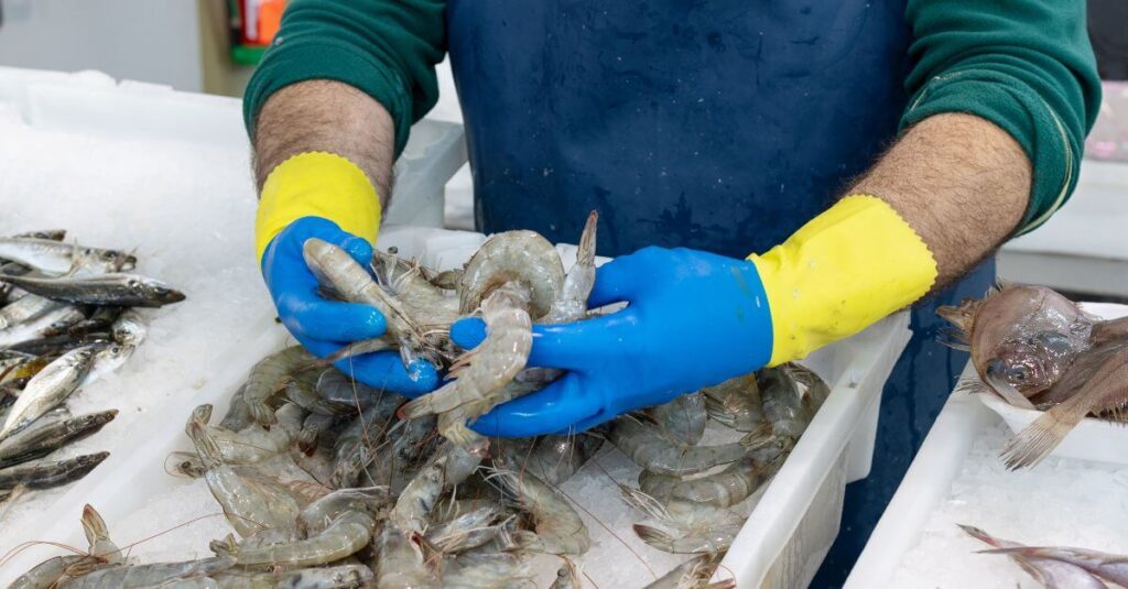 traceability-in-fisheries